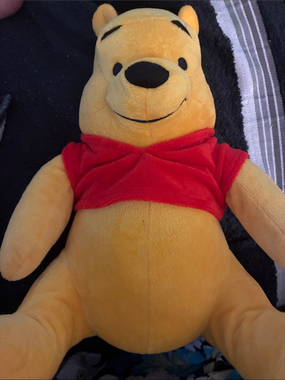 Winnie the Pooh Plush